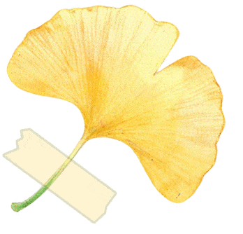 海大这些全寝保研宿舍，靠啥秘诀实现梦想？